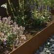 Core Flexible Edging Corten 1075mm x 100mm 