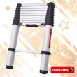 Telesteps Eco-Line Extending Ladder - 3.0M Ref XMS26LADDER
