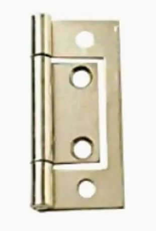 Eb Flush Hinge 2