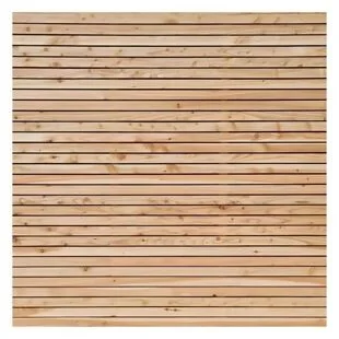 19 x 38mm European Larch Batten