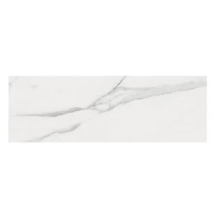 Statuary Matt 25cm x 75cm