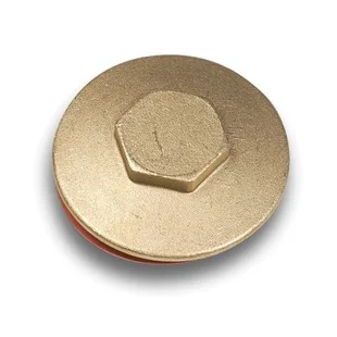 Immersion Plug & Washer 2.1/4  29010