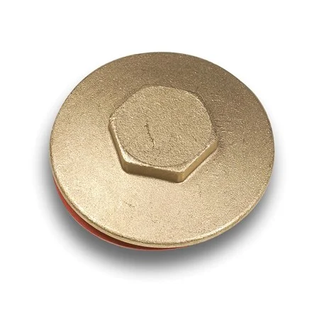 Immersion Plug & Washer 2.1/4  29010