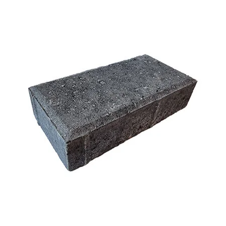 Plaspave 200 x 100 x 50mm Charcoal Pavior (488no per pack = 9.76m2)
